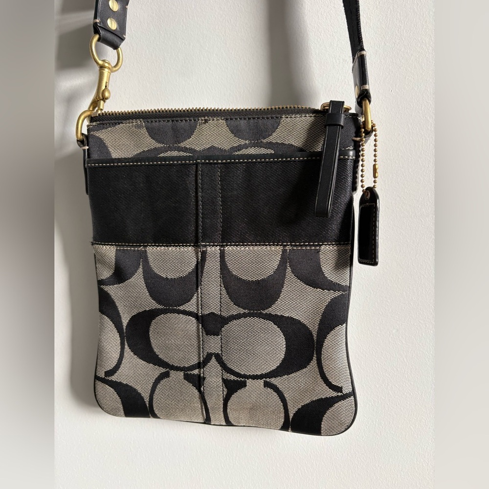 Coach Signature Stripe Swingpack